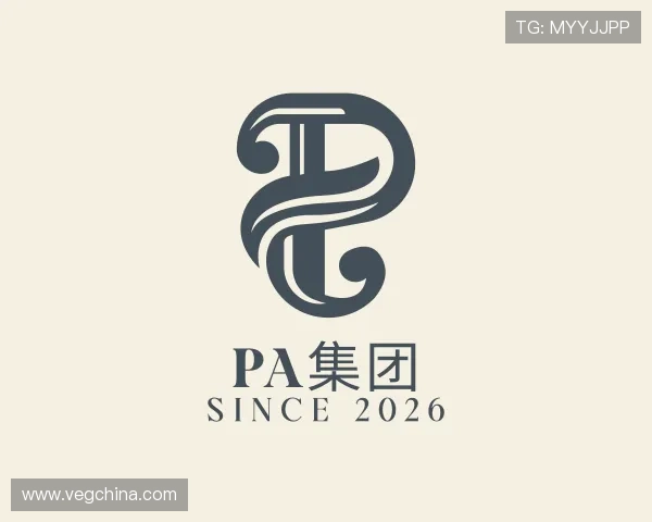 发现PA集团